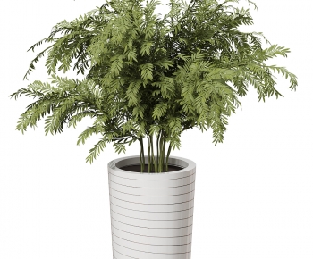 Modern Ground Green Plant Potted Plants-ID:304503926