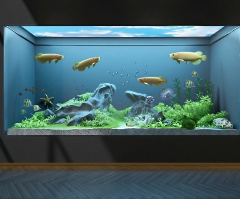 Modern Fish Tank-ID:504069094
