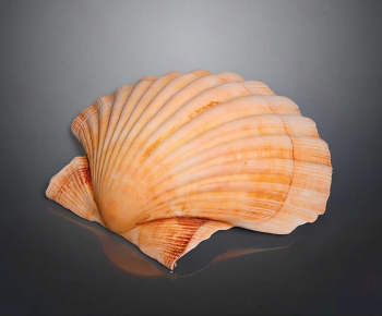 Modern Aquatic Animals-ID:592616082