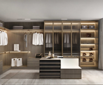 Modern Clothes Storage Area-ID:305237056