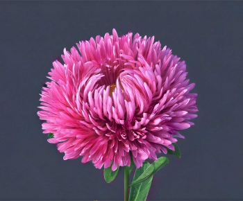 Modern Flowers And Grass-ID:124633073