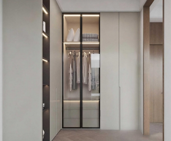 Modern Clothes Storage Area-ID:319416052