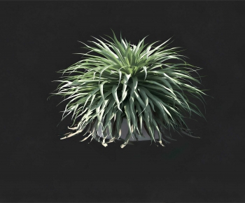 Modern Potted Green Plant-ID:797375925