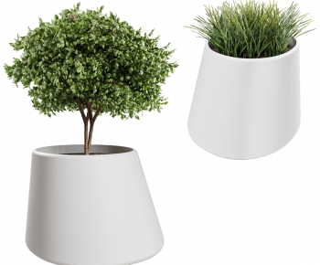 Modern Ground Green Plant Potted Plants-ID:161876929