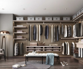Modern Clothes Storage Area-ID:987737894