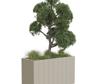 Modern Flower Bed, Flower Bowl, Flower Box-ID:744733109