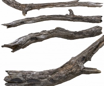 Modern Tree-ID:926018953