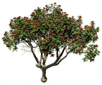 Modern Tree-ID:675606019