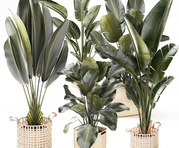 Modern Ground Green Plant Potted Plants-ID:222446922