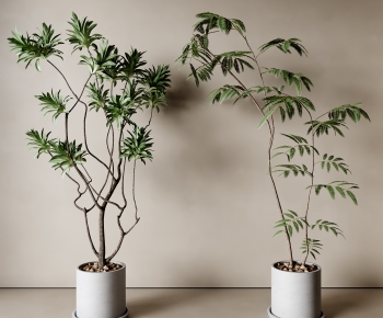 Modern Ground Green Plant Potted Plants-ID:529887919