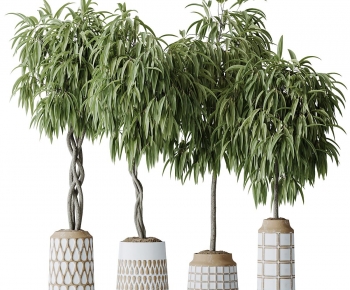 Modern Ground Green Plant Potted Plants-ID:925060992