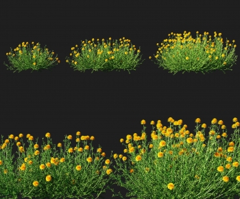 Modern Flowers And Grass-ID:776314976