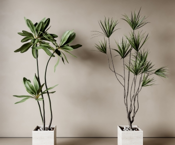 Modern Ground Green Plant Potted Plants-ID:535137899