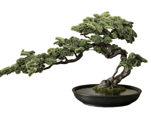 New Chinese StylePlant Leaves