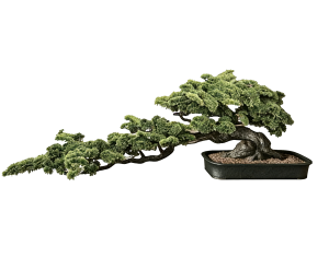New Chinese StylePlant Leaves