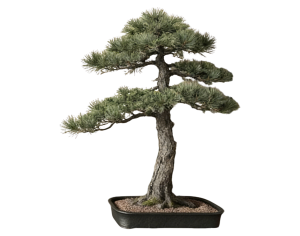 New Chinese StylePlant Leaves