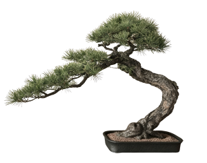 New Chinese StylePlant Leaves