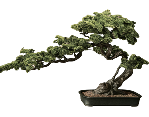 New Chinese StylePlant Leaves