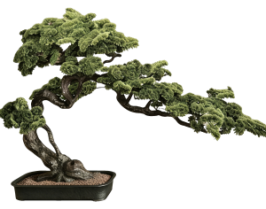 New Chinese StylePlant Leaves