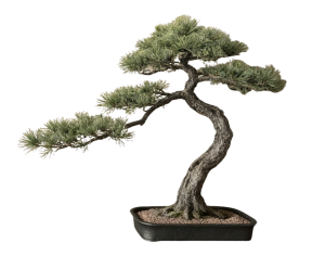 New Chinese StylePlant Leaves