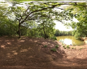 ModernThe Environment