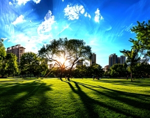 ModernThe Environment