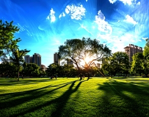 ModernThe Environment
