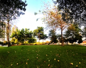 ModernThe Environment
