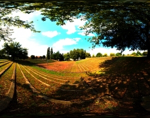 ModernThe Environment