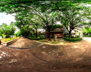 ModernThe Environment