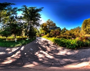 ModernThe Environment