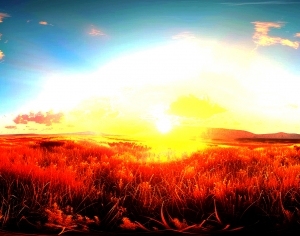 ModernThe Environment