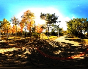 ModernThe Environment