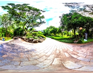 ModernThe Environment
