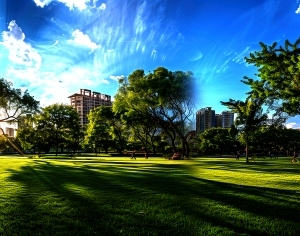 ModernThe Environment
