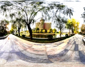 ModernThe Environment