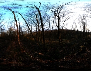 ModernThe Environment