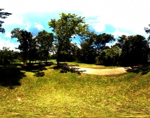 ModernThe Environment