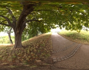 ModernThe Environment