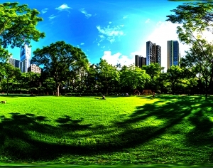 ModernThe Environment