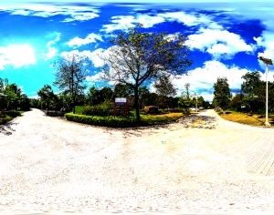 ModernThe Environment