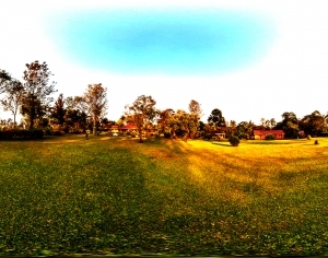 ModernThe Environment