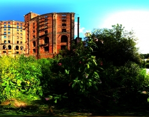 ModernThe Environment