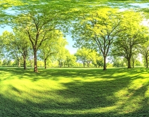 ModernThe Environment
