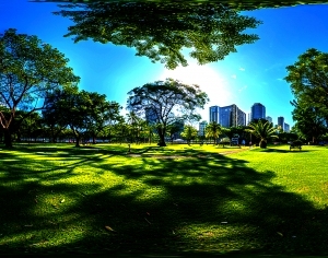 ModernThe Environment