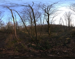 ModernThe Environment