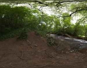 ModernThe Environment