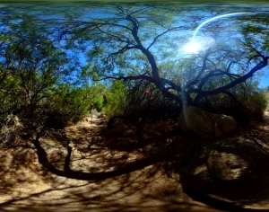 ModernThe Environment
