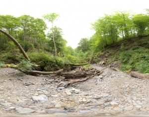 ModernThe Environment