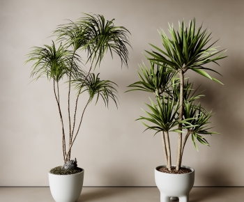 Modern Ground Green Plant Potted Plants-ID:264050965
